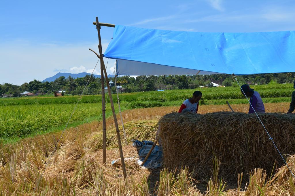 Koto Hilalang Homestay Bukittinggi Esterno foto