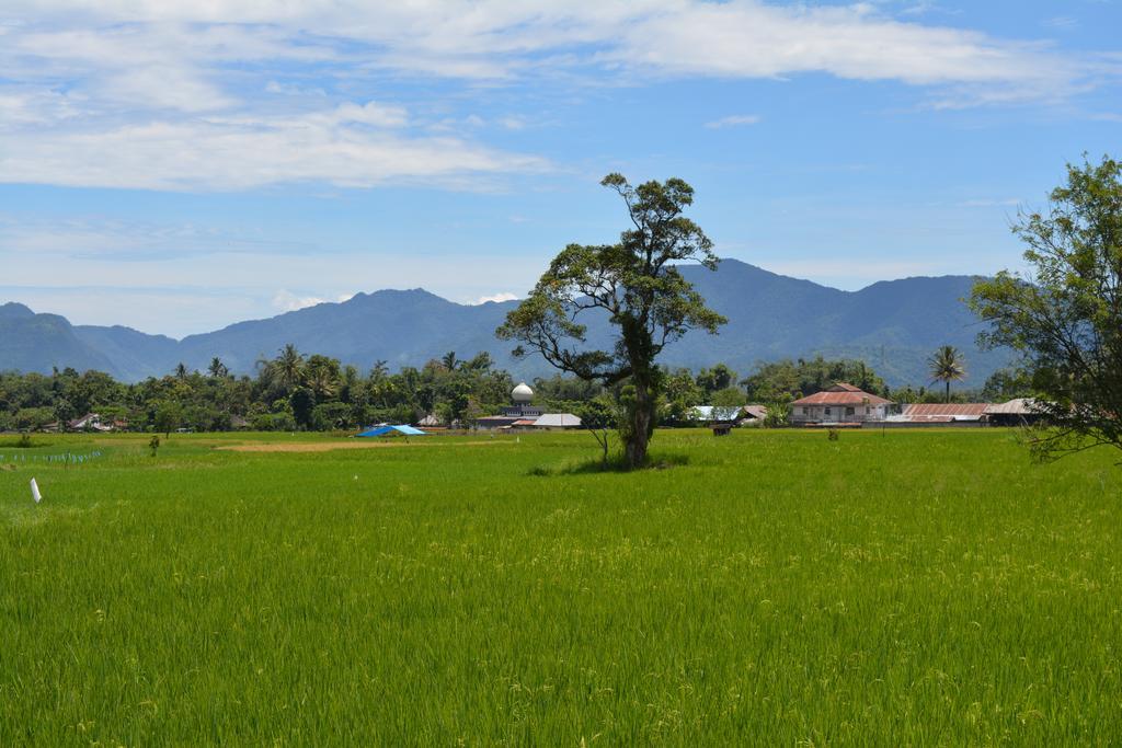 Koto Hilalang Homestay Bukittinggi Esterno foto
